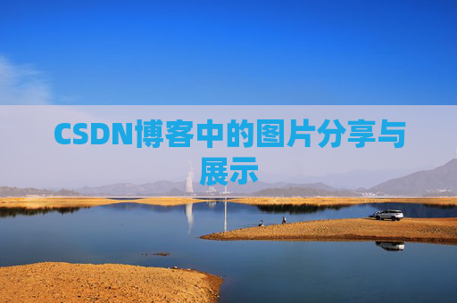 CSDN博客中的图片分享与展示
